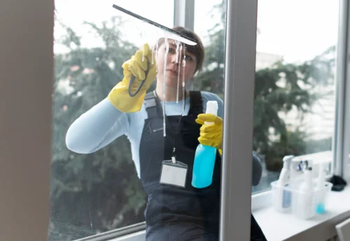 Nettoyage de vitres intérieures et extérieures à Druillat